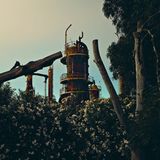 Eingewachsene Fabrik