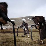 Tribes, Runner-up: Niko Vavdinoudis, Griechenland