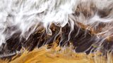 Earth, Air, Fire, Water, Commended: Thomas Haney, USA