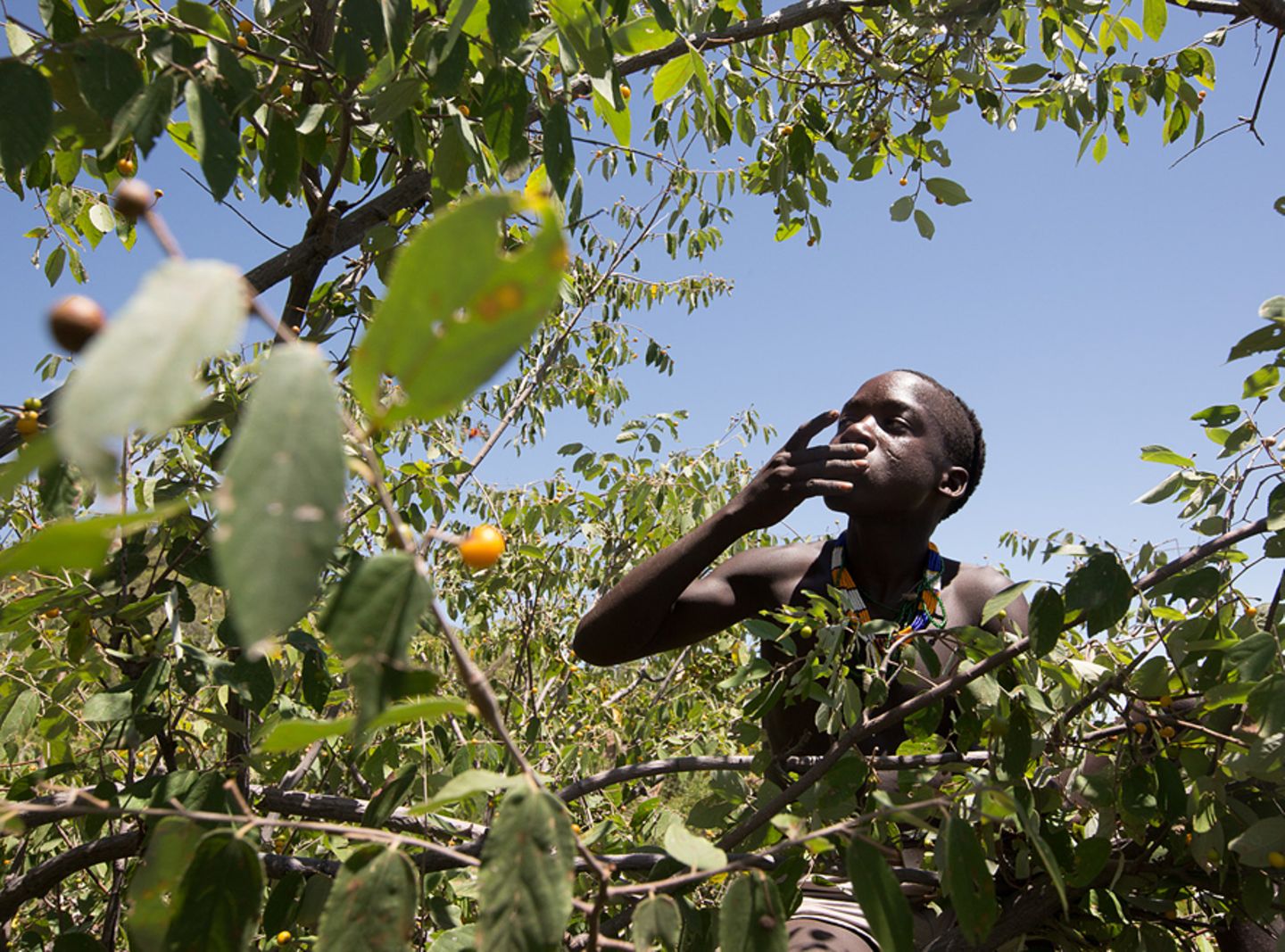 Vielfalt auf dem Speisezettel