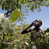 Vielfalt auf dem Speisezettel