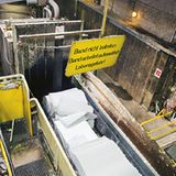 Klopapier: Von der Rolle - So wird Klopapier hergestellt - Bild 2