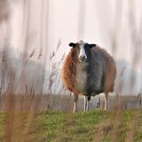 GEO Leserfoto: Die besten Leserfotos: Februar 2015 - Bild 2