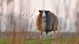 GEO Leserfoto: Die besten Leserfotos: Februar 2015 - Bild 2