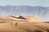 GEO Leserfoto: Die besten Leserfotos: Februar 2015 - Bild 6