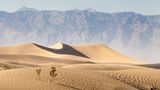 GEO Leserfoto: Die besten Leserfotos: Februar 2015 - Bild 6