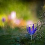 GEO Leserfoto: Die besten Leserfotos: Februar 2015 - Bild 7