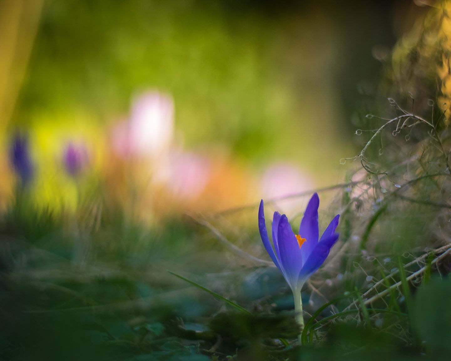 GEO Leserfoto: Die besten Leserfotos: Februar 2015 - Bild 7