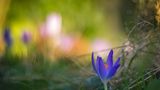 GEO Leserfoto: Die besten Leserfotos: Februar 2015 - Bild 7