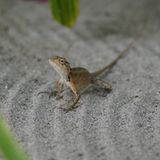 GEO Leserfoto: Die besten Leserfotos: Februar 2015 - Bild 9