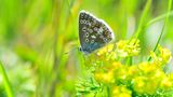 GEO Leserfoto: Die besten Leserfotos: Februar 2015 - Bild 19