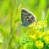 GEO Leserfoto: Die besten Leserfotos: Februar 2015 - Bild 19