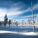 GEO Leserfoto: Die besten Leserfotos: Februar 2015 - Bild 20