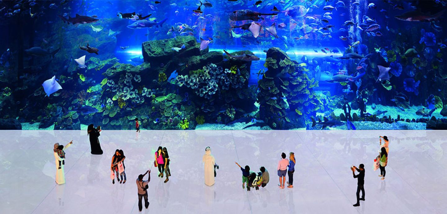 Dubai Mall, The Aquarium, 2010