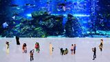 Dubai Mall, The Aquarium, 2010