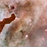 Form- und Farbspektakel