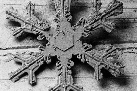 Faszinierende Miniaturen: So erstaunlich sehen Schneeflocken unter dem Mikroskop aus