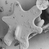 Ohne Ecken und Kanten