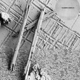 In relativ warmer und feuchter Luft...