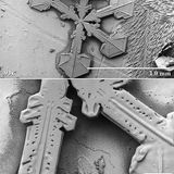 Ausgeprägte Symmetrie