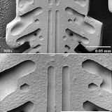 1800-fach vergrößert