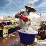 Schritt für Schritt