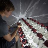 Das Werk der Einzeller