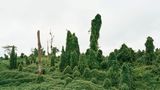 Bizarre Landschaft