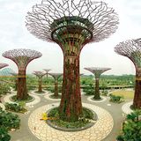 Supertree Grove, Singapur