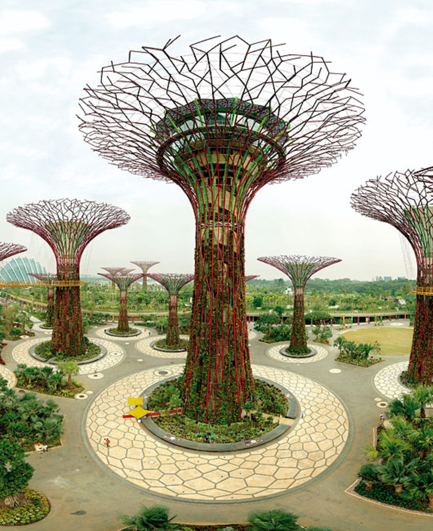 Supertree Grove, Singapur