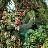 Nature Trail, Singapur