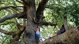 Naturparadies auf Pilion
