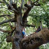 Naturparadies auf Pilion