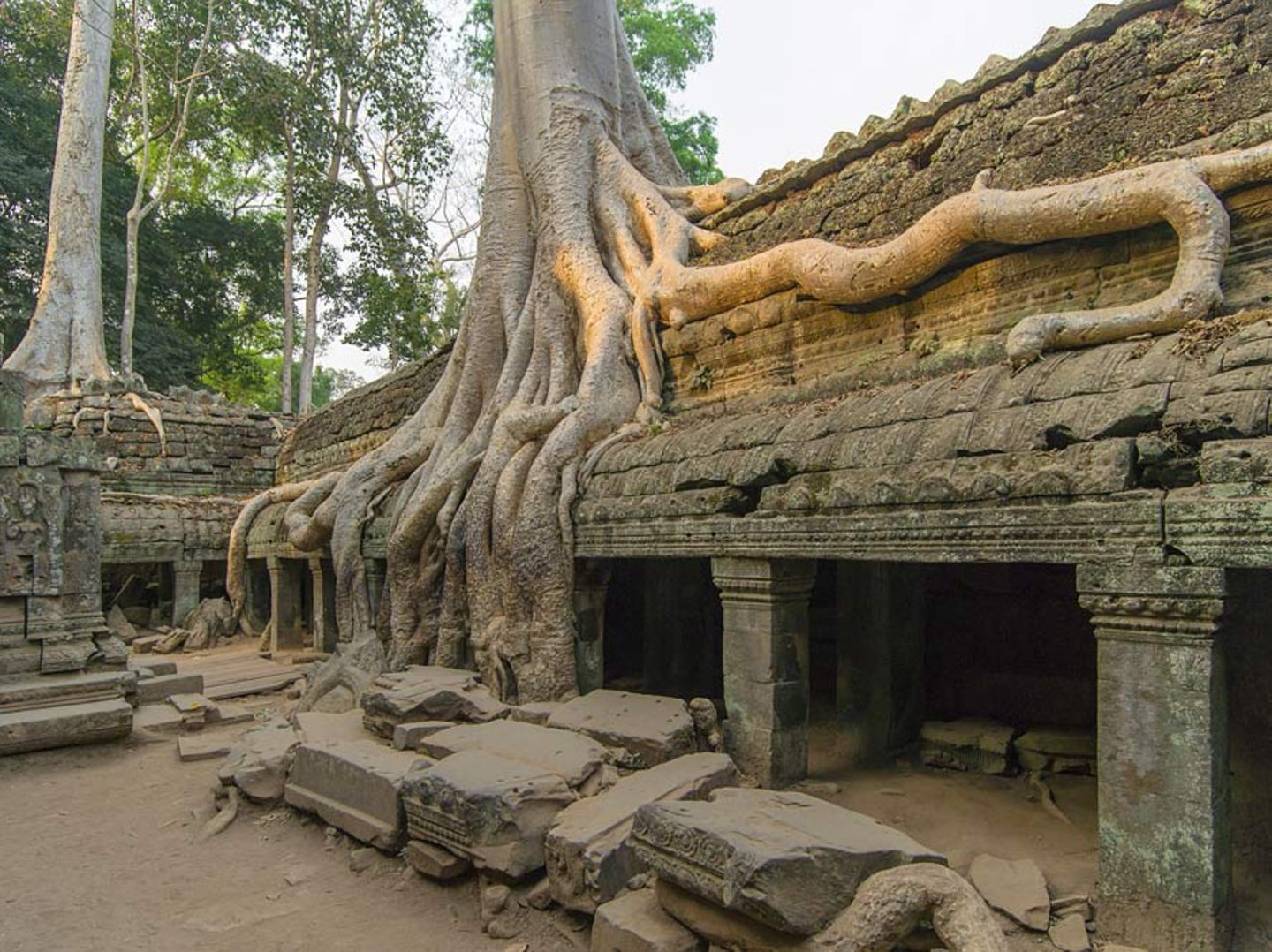 Tempelanlage Ta Prohm, Kambodscha Tempelanlage Ta Prohm, Kambodscha