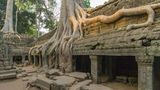 Tempelanlage Ta Prohm, Kambodscha