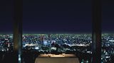 Park Hyatt Hotel, Tokio