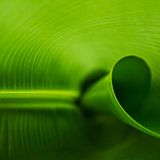 GEO Leserfoto: Die besten Leserfotos: März 2015 - Bild 2