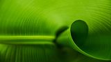 GEO Leserfoto: Die besten Leserfotos: März 2015 - Bild 2