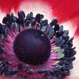 GEO Leserfoto: Die besten Leserfotos: März 2015 - Bild 4