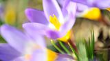 GEO Leserfoto: Die besten Leserfotos: März 2015 - Bild 6