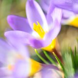 GEO Leserfoto: Die besten Leserfotos: März 2015 - Bild 6