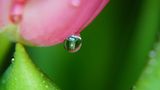 GEO Leserfoto: Die besten Leserfotos: März 2015 - Bild 11