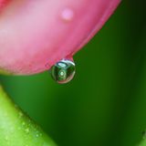 GEO Leserfoto: Die besten Leserfotos: März 2015 - Bild 11