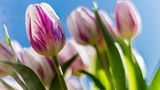 GEO Leserfoto: Die besten Leserfotos: März 2015 - Bild 15