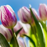 GEO Leserfoto: Die besten Leserfotos: März 2015 - Bild 15