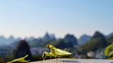GEO Leserfoto: Die besten Leserfotos: März 2015 - Bild 16