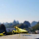 GEO Leserfoto: Die besten Leserfotos: März 2015 - Bild 16