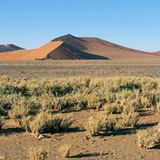 GEO Leserfoto: Die besten Leserfotos: März 2015 - Bild 19