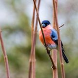 GEO Leserfoto: Die besten Leserfotos: März 2015 - Bild 20