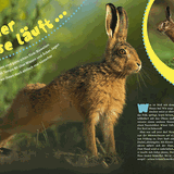 Kreativ: Das GEOlino-Machbuch: Ostern - Bild 5